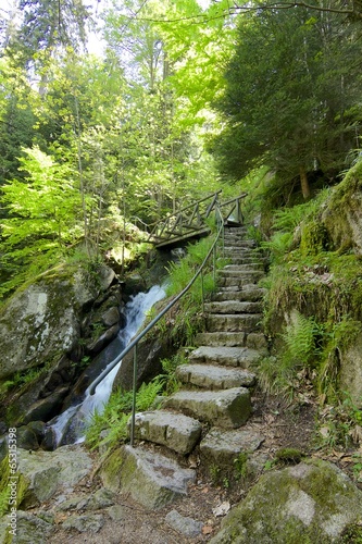 Nowoczesny obraz na płótnie Black Forest Stone Staircase