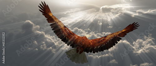 Fototapeta na wymiar Eagle in flight above the clouds