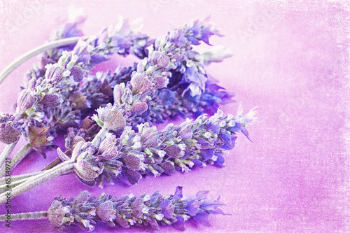 Obraz w ramie Bunch of a lavender flowers on a purple vintage background
