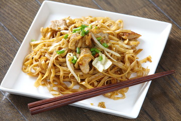 stir fried rice noodles with pork and vegetables