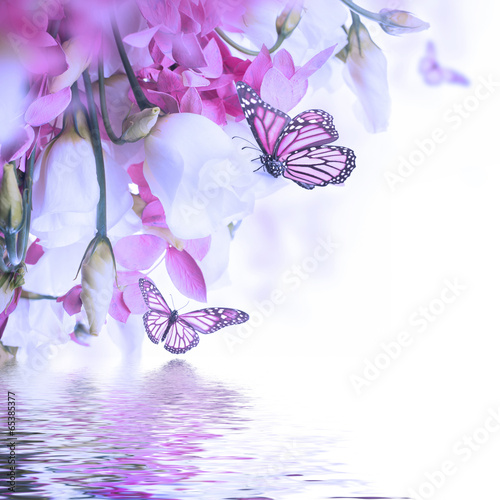 bukiet-biale-i-rozowe-roze-motyl-kwiatowy-tlo