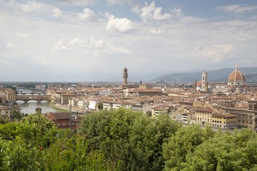 Wall Mural - Firenze