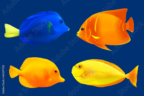 Fotografie, Tablou Set of tropical fish. Vector illustration