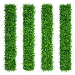 Wall Mural - green grass