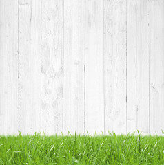 Wall Mural - Wooden Background / Lawn