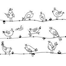 Set Of Cute Birds In Vector. Cartoon Collection.