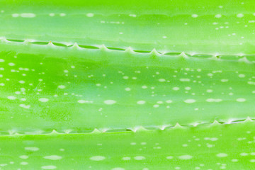  Aloe vera background