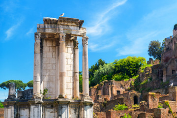 Wall Mural - Temple of Vesta in Roman Forum, Rome, Italy. Landscape of ancient ruins in summer.