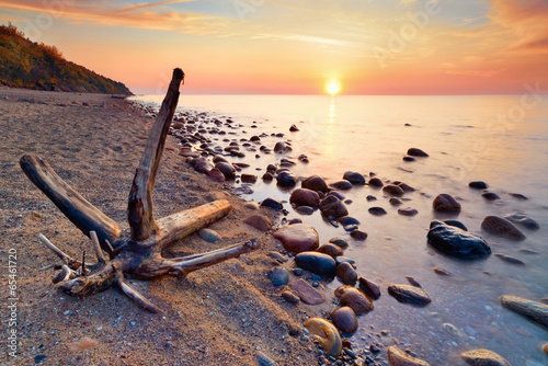 Plakat na zamówienie Tranquil sunshine over Baltic Sea coast. Trunk on beach.