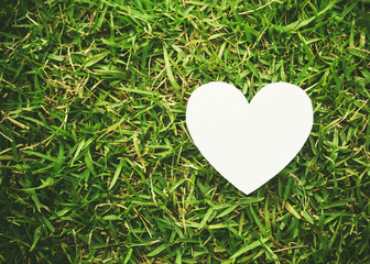 heart shape on green