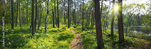 Naklejka na drzwi Panoramiczny obraz nad brzegiem jeziora