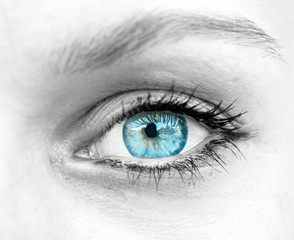 Beautiful blue woman eye