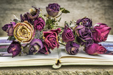 Bouquet Of Dried Roses On Old Book