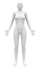 Blank Anatomy Female Figure - Front view