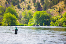 Fly Fisherman Casting On The Deschutes River