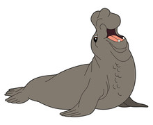 Cartoon Animal - Elephant Seal - Flat Coloring Style