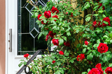 Wall Mural - Home entrance decorated by natural roses