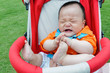The stroller crying baby