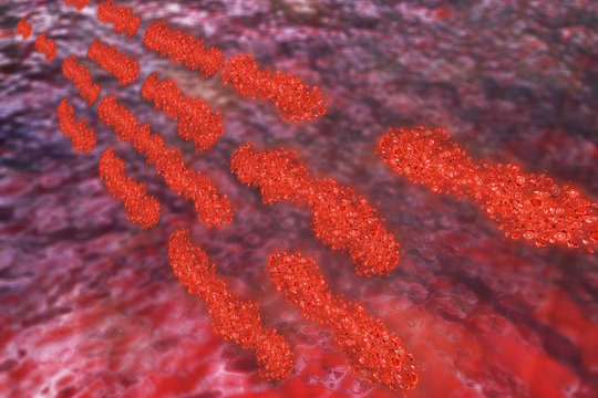 Blood cells - 3D Rendering