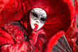 maschera del carnevale di Venezia 2014