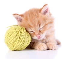 Cute Little Red Kitten And Ball Of Thread Isolated On White