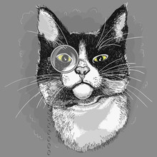Portrait Of A Cat In A Monocle. Illustration