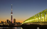 Fototapeta  - Tokyo city and Tokyo skytree at dusk