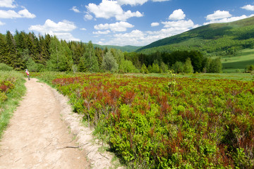 Na szlaku turystycznym, Bieszczady Polska