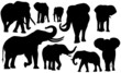 Elefanten Set