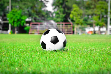  football on the grass field