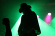 Silhouette of a guitarist on stage with a cowboy hat