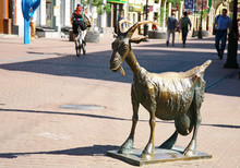 Funny Goat Sculpture At The Bolshaya Pokrovskaya Street