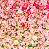 Fototapeta Kwiaty - Flower background