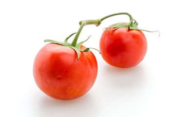 Wall Mural - Tomato isolated on white