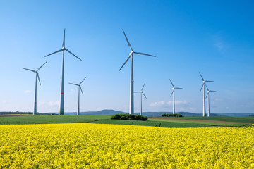 Rapeseed and windwheels