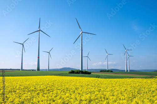 Cuadros en Lienzo Rapeseed and windwheels