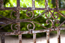 Old Rusty Gate In A Park