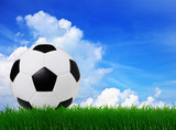 Fototapeta Sport - soccer football on  green grass sport stadium with copy space  u