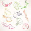 stylized outline vegetables