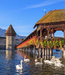 Lucerne, the Chapel Bridge in early morning