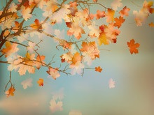Background With Autumn Maple Leaves. EPS 10