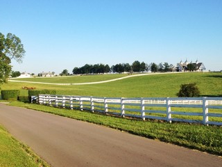 Wall Mural - Country road and horse farms