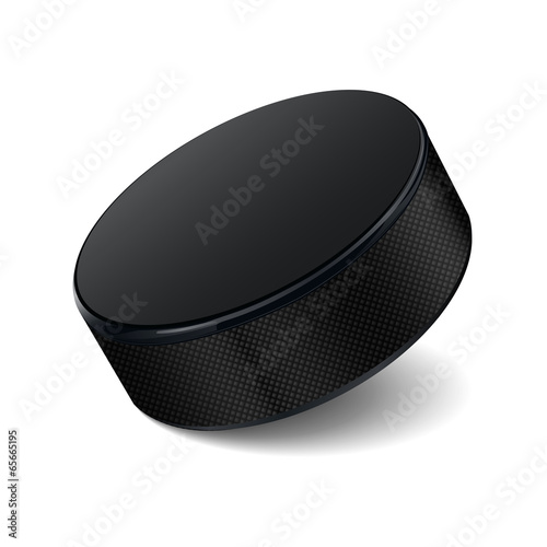 Detailed hockey puck isolated on white background Wallpaper Mural