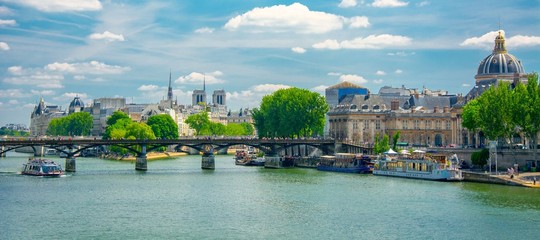 Wall Mural - Berges de la Seine à Paris