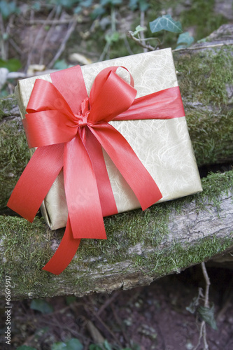 Fotografia, Obraz Gift ready for a surprise/Gift box on branch with moss in woods.