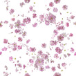 Repeatable Ornamental Sakura Blossom Breeze