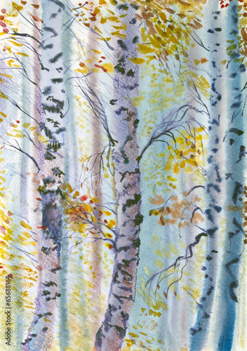 Fototapeta na wymiar autumn birch