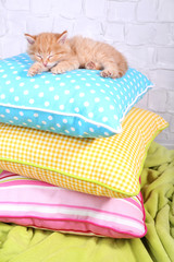 Naklejka na meble Cute little red kitten  sleeping