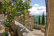 Roses on balcony, cityscape of San Gimignano, Tuscany landscape