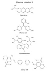 Sticker - Structural formulas of chemical indicators